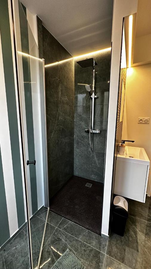 Katrine Apartman Saint-Etienne  Kültér fotó